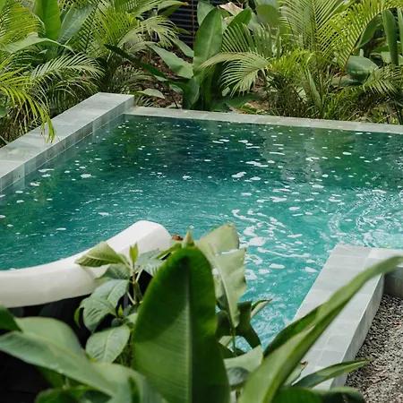 Manuel Antonio Tree House Villas - 4 Bedrooms-3